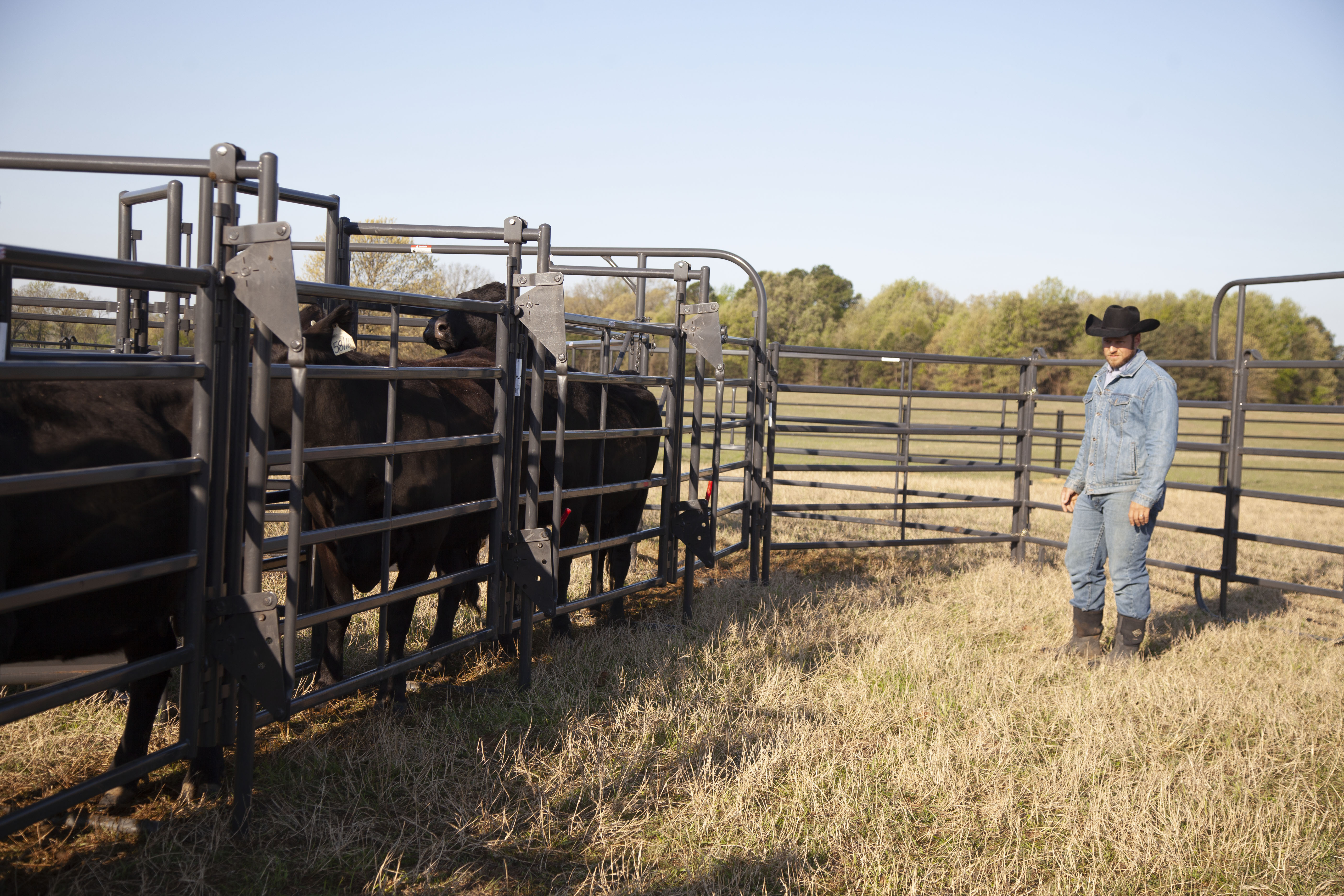 Premier System Adjustable Alley 33.jpg